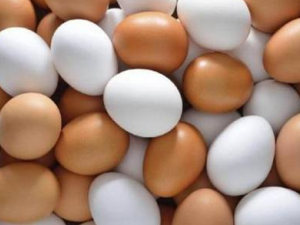 ���ѡ��ߵ���ʳ�� �ߵ���ʳ���ʳ�ý���