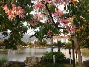 ��ƶ�����Щ��Ч ��ƶ��ζ�����ʱ