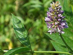 �ڳ��������Ϊ�� ��ҽ�Ƽ�����ڳ���Сƫ��