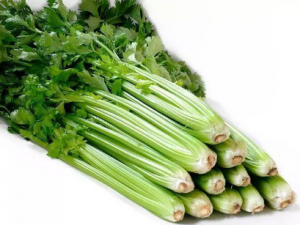 ���˶���۲˻�Ӱ���Թ����� �۲�����ɱ��������