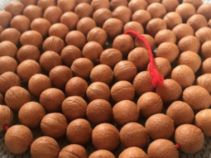 ɽӣ�Һ�����Щ��Ч ɽӣ�Һ˿���ߺ۶���