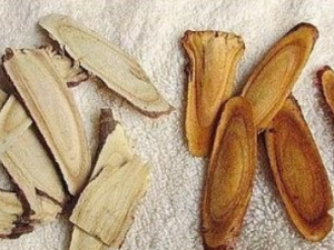 ̩ɽ��ʯɢ�Ĺ�Ч ̩ɽ��ʯɢ��������Ƣ