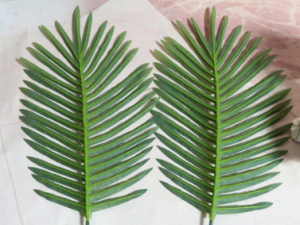 ɽҶЩЧ ɽҶֹѪοѪ