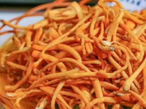 ��ݻ�����Щ���� ��Щ�˲��˳Գ�ݻ�