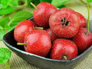 Ұɽ�����Щ��Ч Ұɽ���һ��ʳ��