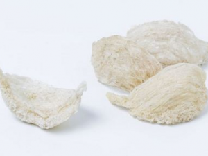 ʲô�˲��ܳ����� ������ʱ����ЩҪע���