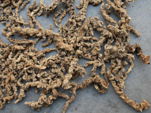 �����ɢ������ �����ɢ�����º�ʵ