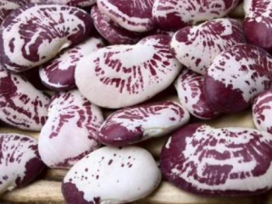 �ɰ����Ĺ�Ч �ɰ�����������Щʳ��һ���