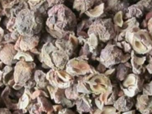 �������׵����Ʒ��� С���Ƽ����ƻ������׵�ƫ��