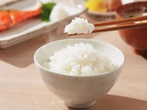 ���׷���Ӫ����ֵ �����׷��ɱ�������