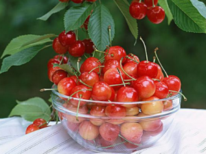 ӣ��ʳ���������� ��ʳ��ӣ�ҿ����󼡷�