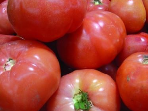 ��������Щ��Ҫ������ һ����������