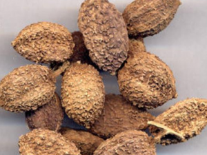 ���ӹ��ʵĹ�Ч���� ���ӹ��ʿ�������������