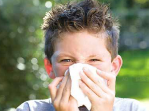 ������Ҳ����������� ����������ѪҺѭ�����㼡��������