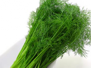 ������ʺ�ʲô�˳� ����˵�ʳ�ý���