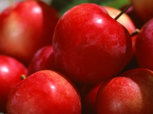 ��Щˮ���з�ɹ��Ч ��Ҫ��ɹѡ��Щˮ��