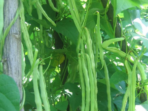 ������ʱҪע����Щ���� ������ʱ�����Щ����