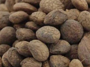 ި�ʵĹ�Ч ި����Ŀ����ʹ