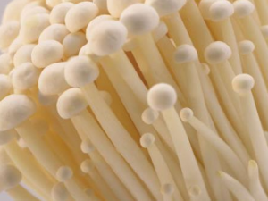 ���컨�۹��ർ�¹������Ӧ�� ��Щʳ��ɰ��㿹������