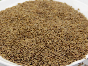 ������ȷ�ĺ���ҩ���ܹ���֤ҩ��Ч��