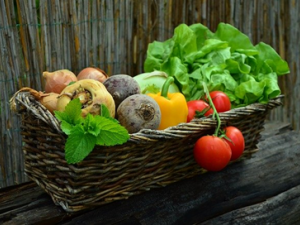 �ļ���ʳ������������� ���������ԭ��