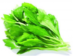 ����ͷ��ʳ�ù�Ч ����ͷ��ѡ������