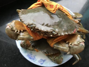 ��������Щ��Ч ������С��Ʀ��