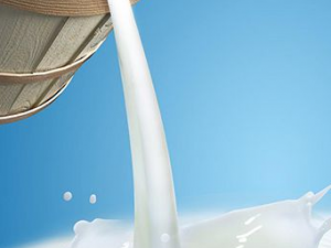 ���ֺ�ţ�̵������������� ������ô��ţ�̵�