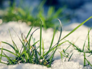 �ǾҲ�����Щ��Ч �ǾҲ����۶���ʹ