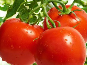 �Է������н��ɵ� �Է�����֪��Ҫע��ʲô��