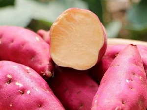 ��ݮ��ʳ�ý��� ��ݮ���ܺ�4��ʳ��һ���