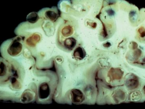 �����ҳ�Ĺ�Ч �����ҳ�����������������