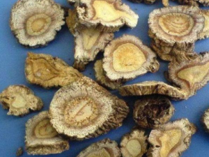 ʳ���఩�������ƺ��� ʳ���఩������ƫ��