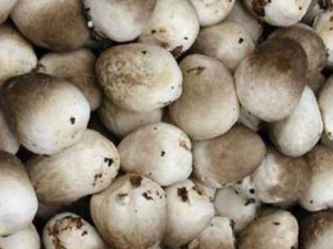 �ݹ����ܺ�ʲôһ��� �ݹ��Ľ�����Ⱥ