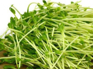 ����Ĺ�Ч �������ǿ�������߹���