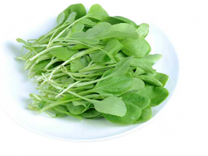 ��ë������Щ��Ч ��ë�˿����Ʒ��ȿ���