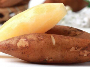 ѩ��������Щ��Ч ѩ��������ǿ������