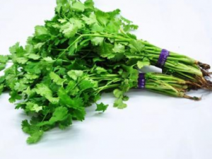 ��Ȼ�Ŷ����ݼ�Ʒ���������������