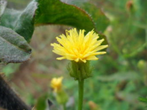 ǹ���˸��Ĺ�Ч ǹ���˸��ε�������