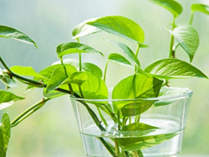 ��ů��������Щů���� ��λ������岻��