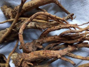 ǰ�������� ǰ���η���ͷʹ