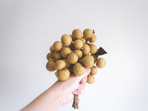 ��ɫ���Ƶ�ԭ�� ��ɫ���Ƹ����������