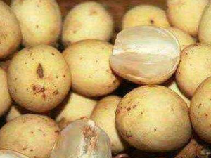 ��������ҩ�ü�ֵ ���������ƿ�������