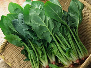 ����Ҳ������ô�� ��Щʳ��ɱ����������