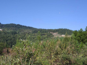 ���������𵤵Ĺ�Ч ������������һ����ʹ