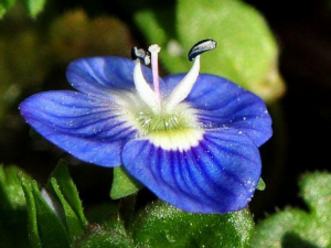 �����ɵĹ�Ч���� �������ΰ��������״�