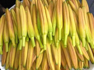 5��ʳ��Ҫ������ С�ĳԲ����ж�Ŷ