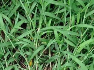 �̵���Ĺ�Ч �̵�������ƽ��������