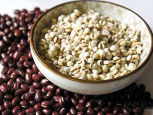 ������������ȥʪ��Ӧ�������ʳ��