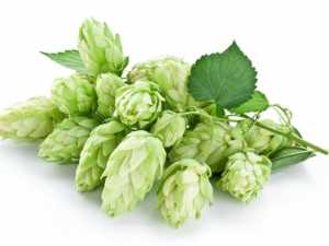 ơ�ƻ�����Щ��Ч ơ�ƻ������ܰͽ���